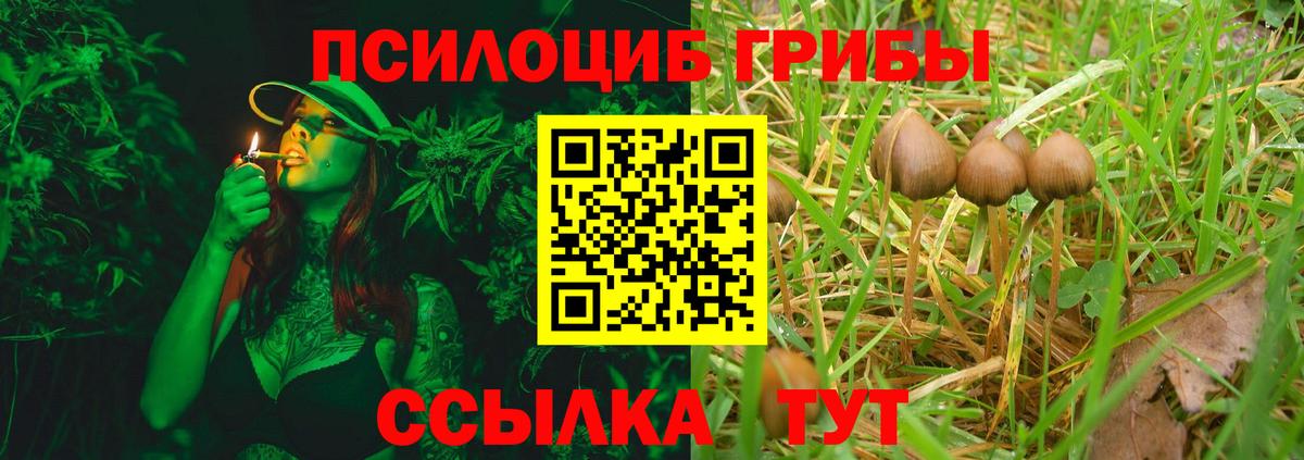 Галлюциногенные грибы мицелий Зерноград